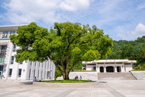 HJ천주천보수련원 여름풍경